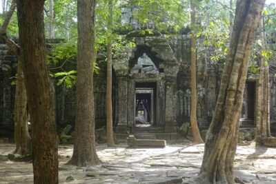1-Day Angkor Wat Sunrise & All Interesting Temples Private Tour - Pickup, the breakfast reset, and how the day stays manageable