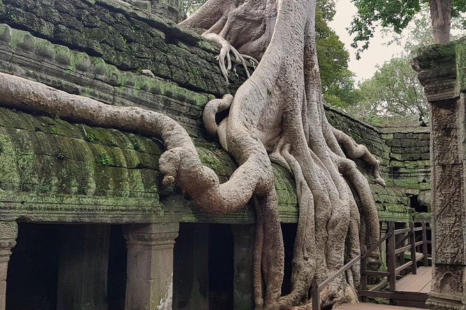 1day Private tour, Angkor sunrise,all main temples, Banteay srei - Angkor Wat at sunrise: what you’ll actually see and how to watch for it