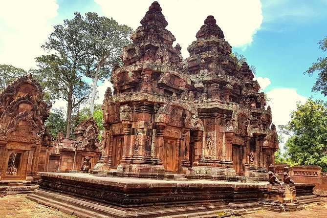 1day Private tour, Angkor sunrise,all main temples, Banteay srei - Ta Prohm: giant roots and that movie-famous feeling