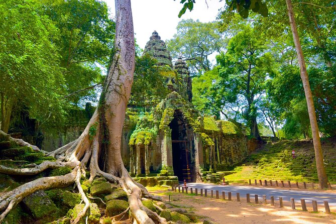 2 Days Exclusive Temple Highlights with Sunset and Sunrise Tour - Day 2: Angkor Wat sunrise you cannot sleep through