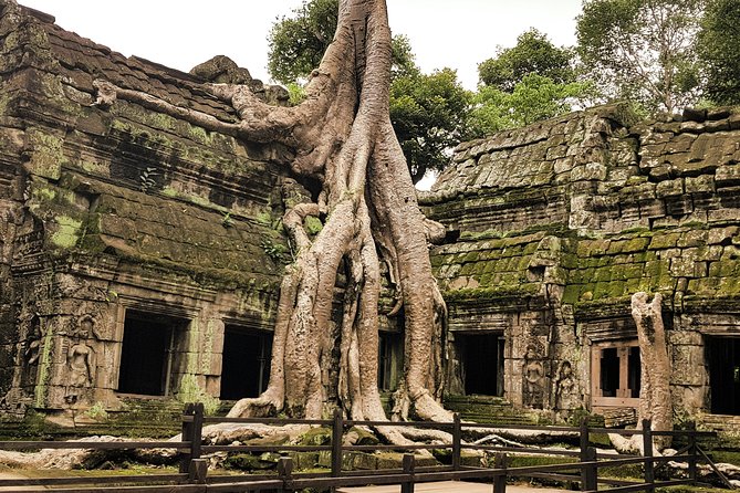 2-Days Private Tour in Angkor Sunrise, Banteay Srei and Beng Mealea Temple - Should you book this private Angkor sunrise and jungle-temple combo?