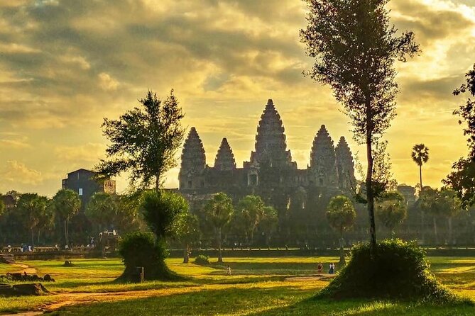 Angkor Sunrise Expedition Cycling Through Serene Backroads - Ta Prohm and the back roads: roots, villages, and less time stuck