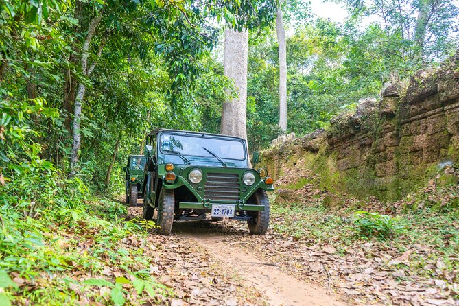 Angkor Sunrise Jeep Tour - Inclusive Breakfast & Lunch - Ta Prohm: jungle ruins without the full chaos