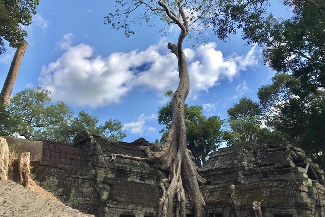 Angkor Temples Highlights: 2-Day Private Tour with Sunrise - Sunrise at Angkor Wat without the chaos you’re trying to avoid