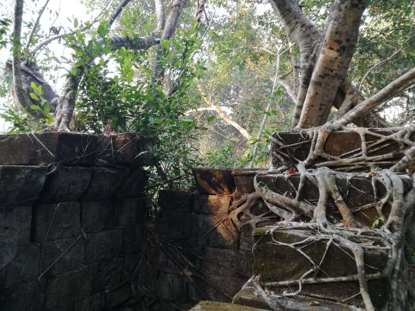 Angkor Temples Highlights Tour: 2 Days with Sunrise - Ta Prohm’s Jungle Embrace: When Roots Take Over the Stone