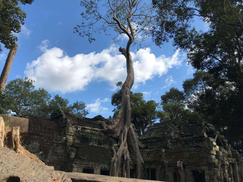 Angkor Temples Highlights Tour: 2 Days with Sunrise - Beng Mealea: The Chaotic Cousin of the Big Names