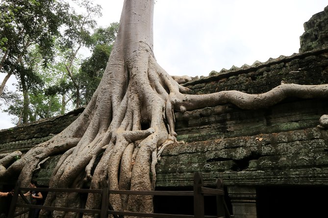 Angkor Temples Private Full-Day Tour from Siem Reap (Free Child) - Stop 1: Angkor Thom South Gate Sets the Fortress Mood