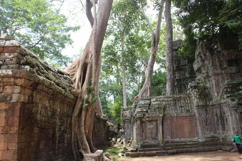 Angkor Wat Full-Day Private Tour with Sunset - Lunch Break Inside the Park: Fuel Without Losing the Day
