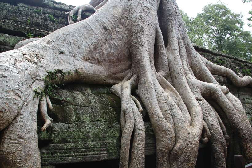 Angkor Wat Full-Day Private Tour with Sunset - Price and Value: What Your $107 Actually Covers