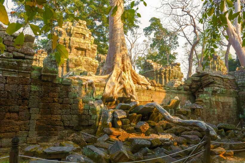 Angkor Wat: Full-Day Temples Small Group Tour - Ta Prohm: the jungle temple walk people remember