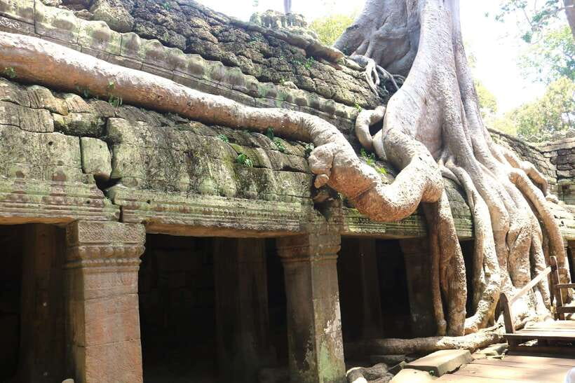 Angkor Wat: Highlights and Sunrise Guided Tour - Who This Tour Suits Best (and Who Might Reconsider)