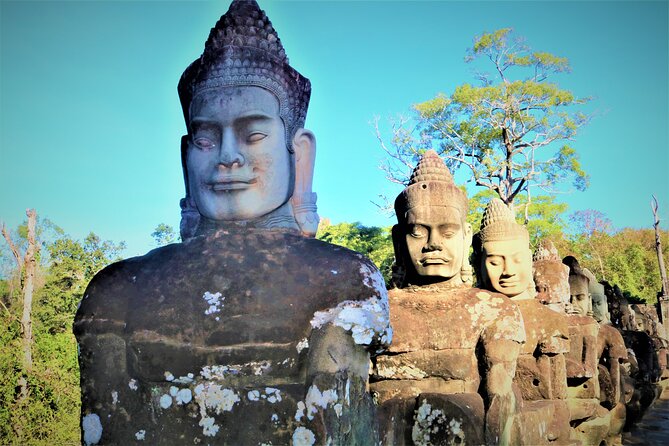 Angkor Wat Highlights and Sunrise Guided Tour from Siem Reap - Ta Prohm: the jungle temple that feels like time travel