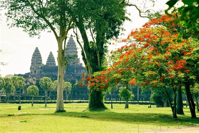 Angkor Wat one Day Private Tour for All Highlight Angkor Temples - Ta Nei and Ta Prohm: sacred calm then the tree-wrapped drama