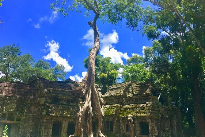 Angkor Wat one Day Private Tour for All Highlight Angkor Temples - Angkor Wat itself: your biggest reveal