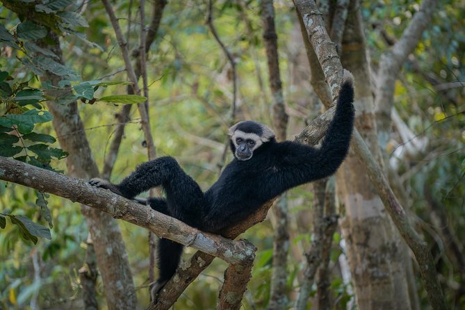 Angkor Wat Park Zip Line Adventure in Siem Reap - Timing Your Day in Siem Reap: Best Ways to Pair It With Temples
