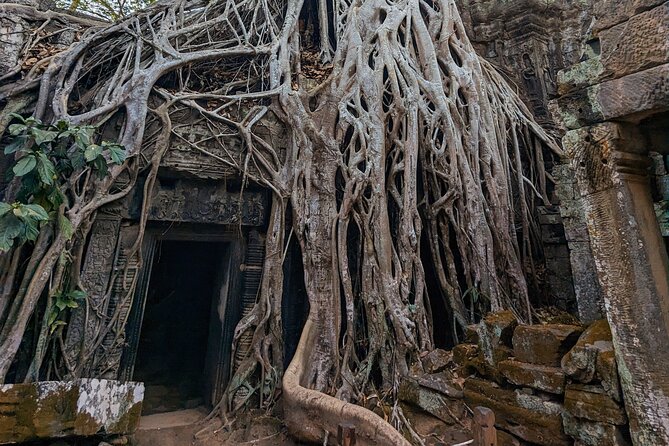Angkor Wat Private Tuk-Tuk Tour (sunrise Option) & more - What to pack and how to make the day feel comfortable