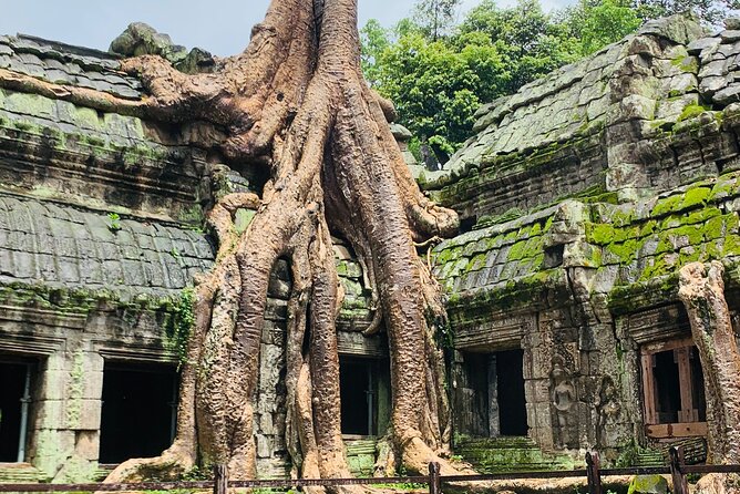 Angkor Wat Sunrise and Angkor Thom Sunset Tour - Angkor Wat sunrise: the main stage and the photo strategy