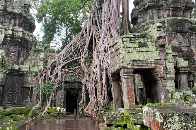 Angkor Wat Sunrise and Angkor Thom Sunset Tour - Ta Prohm and Banteay Kdei: when Angkor feels more personal