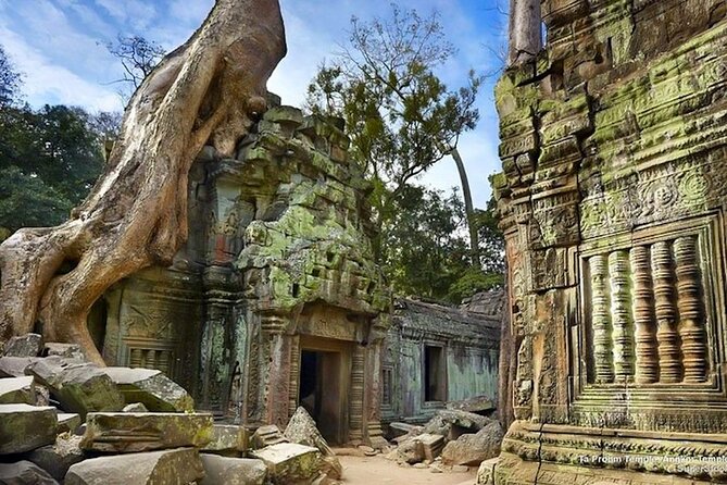 Angkor Wat Sunrise: Exclusive Private Tour! - Ta Prohm: jungle texture, famous film energy, and real atmosphere