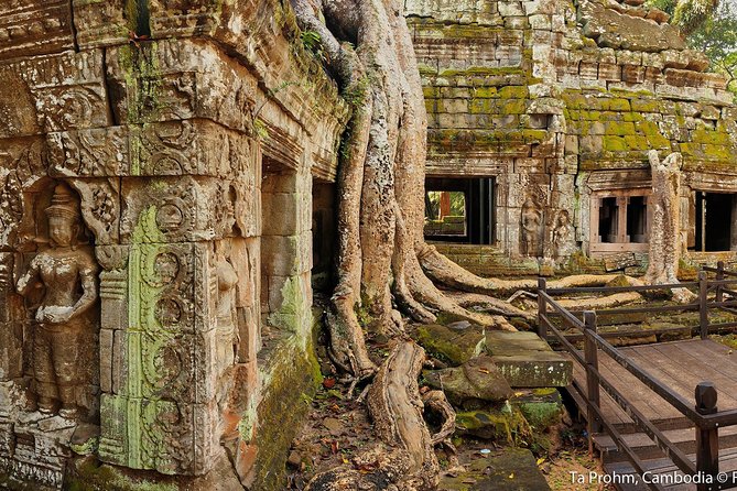 Angkor Wat Sunrise or Sunset Tour with Guide from Siem Reap - Stop 1: Angkor Wat at Sunrise, Plus the Terrace of Elephants