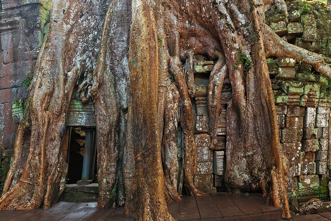 Angkor Wat Sunrise or Sunset Tour with Guide from Siem Reap - Stop 2: South Gate of Angkor Thom and the Bayon/Baphuon Set