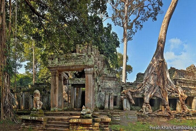 Angkor Wat Sunrise Private Experience with Guide from Siem Reap - Ta Prohm’s fig-tree embrace: how to make time for photos