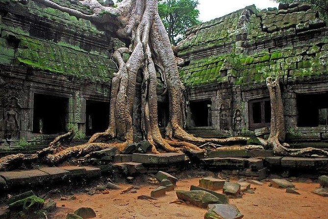 Angkor Wat Sunrise Tour - Should you book the Angkor Wat Sunrise Tour?