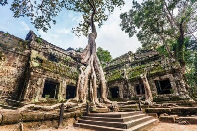 Angkor Wat Sunrise tour with Small - Group and Guide tours - Angkor Wat at sunrise: what you’ll really be doing for that first hour