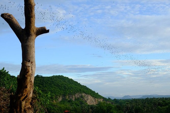 Battambang Full Day Tour from Siem Reap - Bamboo Train, Killing Cave & Sunset - How Your Guide Drives the Day: Tuk-Tuk Pacing and Real Local Stories