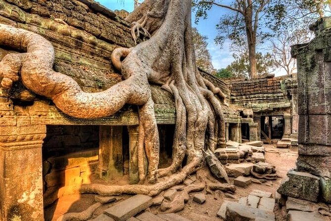 Cambodia Highlight 6 Days Tour from Siem Reap to Phnom Penh - Day 5: Phnom Penh Royal Sights, Markets, and the Khmer Rouge Genocide Sites