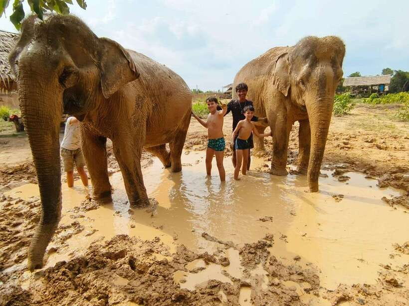 From Siem Reap: Elephant Sanctuary Experience with Transfers - Key Highlights You’ll Feel Immediately