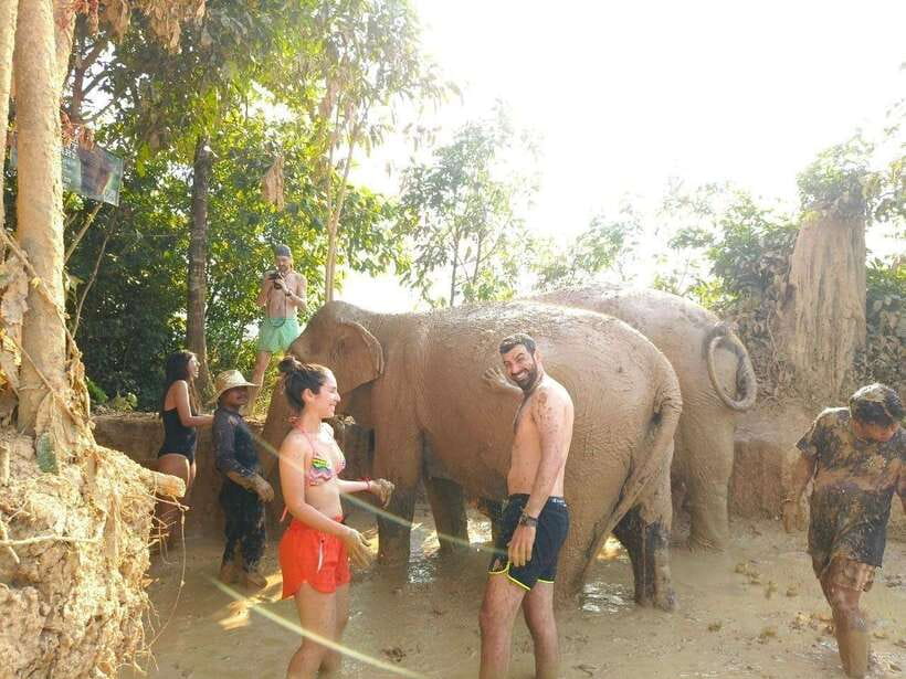 From Siem Reap: Elephant Sanctuary Experience with Transfers - How the Minivan Ride Turns Into a Real Sanctuary Day