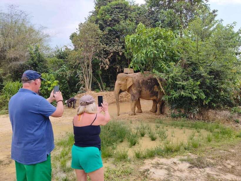 From Siem Reap: Elephant Sanctuary Experience with Transfers - Feeding Time: Handmade Snacks and Digestive-Friendly Food