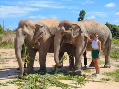 From Siem Reap: Elephant Sanctuary Experience with Transfers - Meeting the Sanctuary: Rescued Elephants and Clear Safety Rules