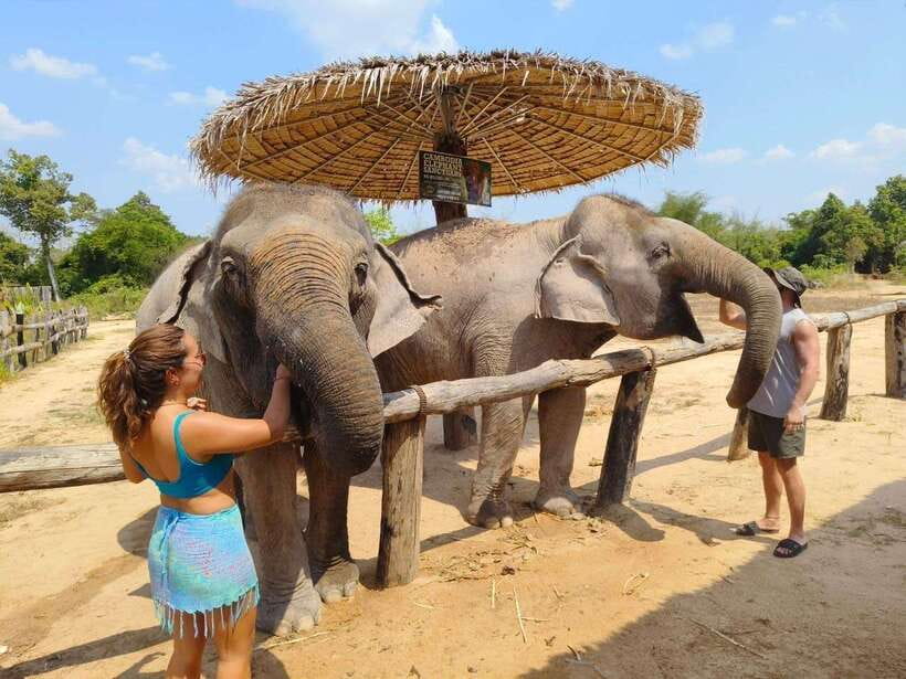 From Siem Reap: Elephant Sanctuary Experience with Transfers - Mud Bath and Mud Bath Rules: Fun, Messy, and Elephant-First