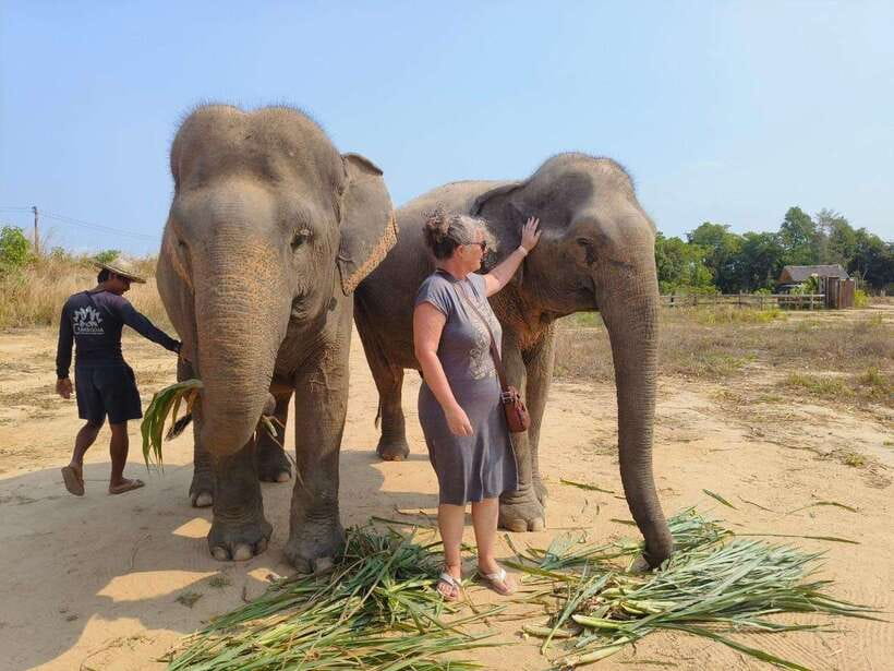 From Siem Reap: Elephant Sanctuary Experience with Transfers - River Bathing: When You Get Close to How They Care for Themselves