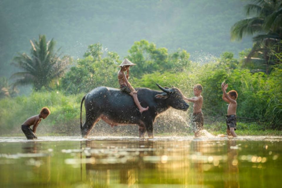 From Siem Reap: Tonle Sap Floating Villages Tour - Floating crocodile and fish farm: a stop that depends on the season