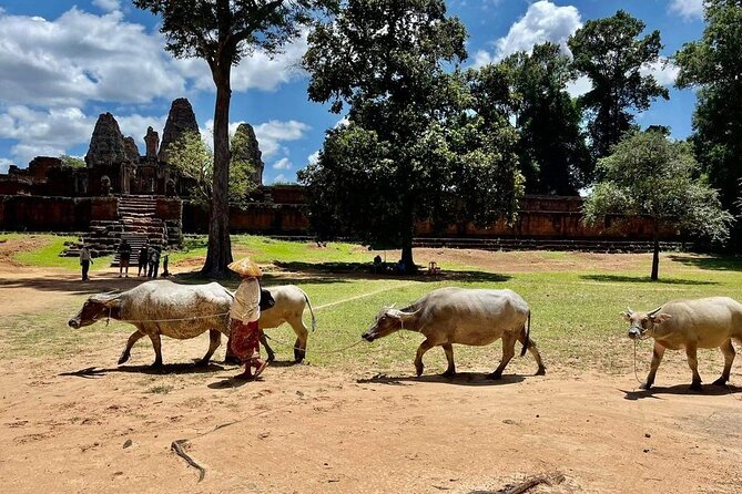 Full-Day 'Big Tour' with Sunset at Phnom Bakheng - H2: Neak Pean: The Island Shrine Feeling That Breaks the Route
