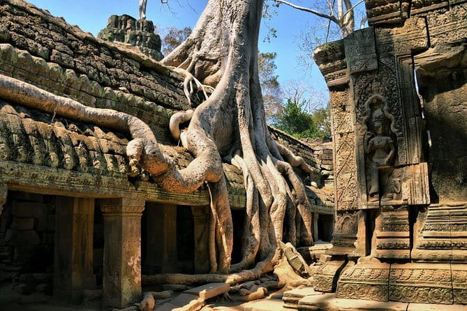 Half Day River Monster Tour with Private Guide in Siem Reap - The parts you should not miss: underwater tunnel, feeding, and the aquarium feel
