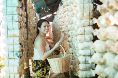 Khmer Cooking Class at a Local's Home in Krong Siem Reap - The Local Market Walk: Where Khmer Flavor Starts