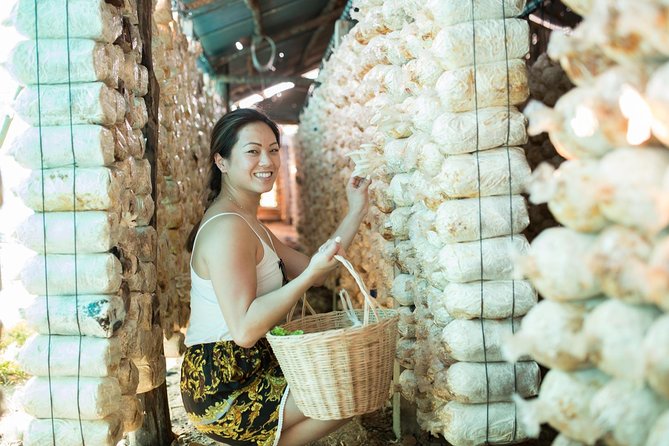 Khmer Cooking Class at a Local's Home in Krong Siem Reap - The Local Market Walk: Where Khmer Flavor Starts