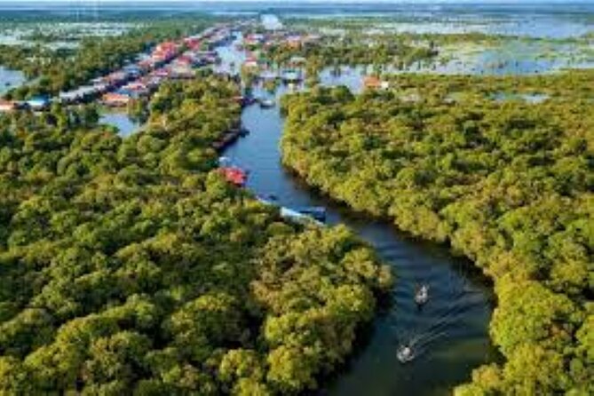 Kompong Phluk Village Tonle Sap Lake Half-Day Tour From Siem Reap - Flooded forests: what you see when the water is doing its thing
