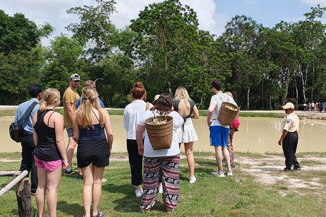 Kulen Elephant Forest & Kampong Phluk by Private Tour - Lunch in the forest: good energy for a full day