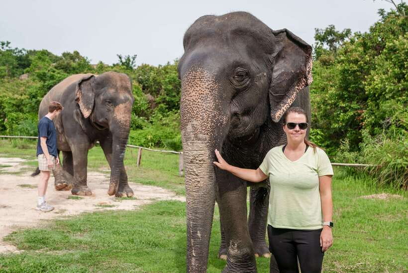 Kulen Elephant Forest Tour with Hotel Pick-up & Drop off - Key Things That Make This Tour Worth Your Time