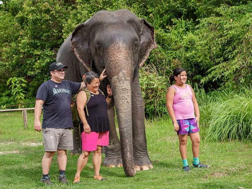 Kulen Elephant Forest Tour with Hotel Pick-up & Drop off - Feeding and Patting: Close Encounters Done the Right Way