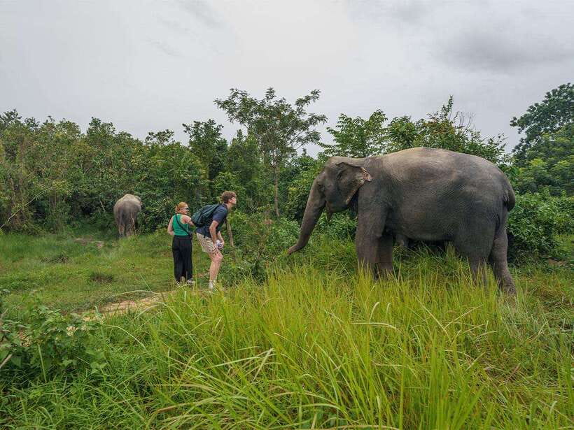 Kulen Elephant Forest Tour with Hotel Pick-up & Drop off - Who Should Book This Tour