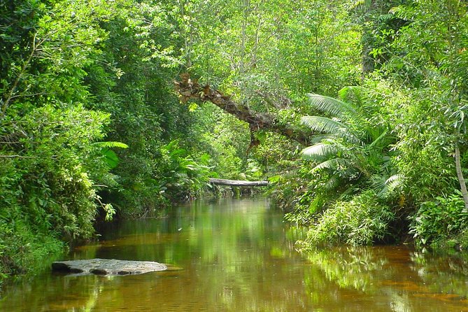 Kulen Waterfall and 1000 Lingas River Private Tour - Private guiding that changes the day: attentive hosts and flexible timing