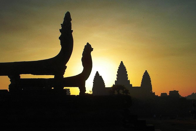 One Day tour with sunrise in car with A/C or Van & Guide. - Ta Prohm: the late-day mood shift