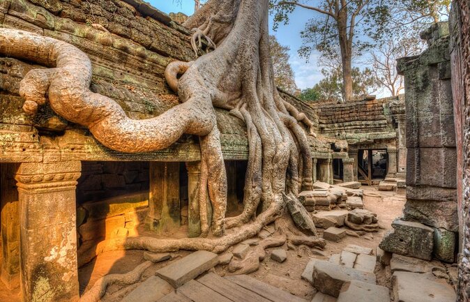 One Full Day Private tour of Angkor Wat, Ta Prohm, Angkor Thom & Banteay Srie - Key things I’d bet on before you book