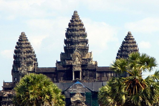 Private Angkor Wat Day Tour - Best of Angkor - Ta Prohm: The Jungle Temple and the Controlled Chaos